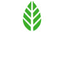 MOYA MATCHA – company logo, company info header
