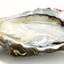 RIVAGES BRETONS – company logo, company info header