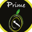 AZ AGR. DI MASO FRANCESCO – company logo, company info header
