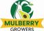 Mulberry Growers Limited – company logo, company info header