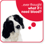 WERN VETERINARY SURGERY – company logo, company info header