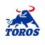 Shandong TOROS Machinery Co., Ltd. – company logo, company info header