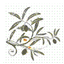 AGROPECUARIA CARRASCO S.L. ALMAZARA "AS PONTIS" – company logo, company info header