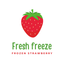 fresh freeze – company logo, company info header