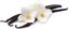 AGRI EXIM LIMITED – company logo, company info header