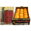 CELILLER FOR IMPORTING AND EXPORTING FRUITS AND VEGETABLES – company logo, company info header