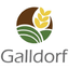 GALLDORF ZRT. – company logo, company info header