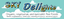 SKY DELIGHTS – company logo, company info header