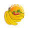 CABAFRUIT S.A – company logo, company info header