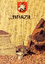 TORRÉFACTION DES CAFÉS BRAZIL – company logo, company info header