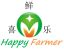 Qingdao Happy Farmer Fruit & Vegetable Co., Ltd. – company logo, company info header