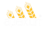 APAK UN FABRİKALARI SANAYİ ANONİM ŞİRKETİ – company logo, company info header