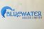 Bluewaterhealth Ltd – company logo, company info header