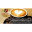 ORGANO GOLD BENELUX – company logo, company info header