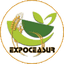 EXPOCEASUR S.L. – company logo, company info header