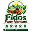 Fidos farm venture – company logo, company info header