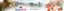 AGROFOOD BVBA – company logo, company info header