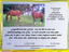 WEINKELLEREI FRANZ WOLF – company logo, company info header
