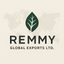 Remmy Global Exports Ltd – company logo, company info header