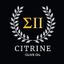 Citrine Luxury – company logo, company info header