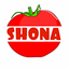 SHONATRADE – company logo, company info header