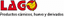 LAGO AVES HUEVOS Y CAZA SA – company logo, company info header