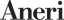 ANERI S.R.L. – company logo, company info header