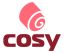 Zhongshan Cosy Home Decoration Co., Ltd. – company logo, company info header