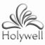 HONGKONG HOLYWELL ENTERPRISE LIMITED – company logo, company info header