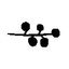 CATA CAFE EXPORT SAS – company logo, company info header