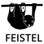 Anhui Feistel Outdoor Product Co., Ltd. – company logo, company info header