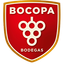 BODEGAS BOCOPA – company logo, company info header