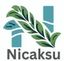 Nicaksu Agro Overseas Pvt Ltd  – company logo, company info header