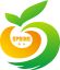 Rizhao Spring Trading Co., Ltd. – company logo, company info header