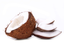AVENZ EXPORTS PVT LTD – company logo, company info header