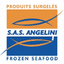 SAS ANGELINI – company logo, company info header