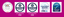 C I LIMITED – company logo, company info header