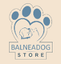 STRUCTURE DOG – company logo, company info header