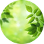 BANGALORE FORT FARMS LIMITED – company logo, company info header