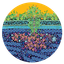 CATHARTIC PHARMACEUTICALS PRIVATE LIMITED – company logo, company info header