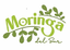 MORINGA DEL SUR.S.L – company logo, company info header