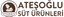ATEŞOĞLU SÜT SANAYİVE TİC. LTD – company logo, company info header