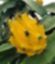 AGRICOLA OPLA CIA LTDA – company logo, company info header