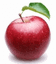 ZGURA-AGRO – company logo, company info header