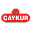 CAYKUR CAY ISLETMELERI GENEL MUDURLUGU – company logo, company info header