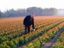 CERTIPLANTS FRANCE – company logo, company info header