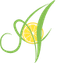 AROMATICA – company logo, company info header