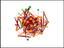 BANKA SPICES INTERNASIONAL – company logo, company info header