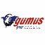 GUMUS GROUP – company logo, company info header