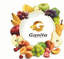 GANITA FRUIT – company logo, company info header